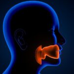 funkcje-jamy-nosowej-co-warto-wiedziec-o-anatomicznej-roli-nosa