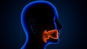 funkcje-jamy-nosowej-co-warto-wiedziec-o-anatomicznej-roli-nosa