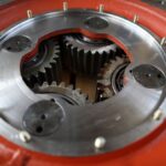 czy-nuzeniec-u-psa-i-kota-moze-byc-zarazliwy-dla-czlowieka