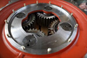 czy-nuzeniec-u-psa-i-kota-moze-byc-zarazliwy-dla-czlowieka